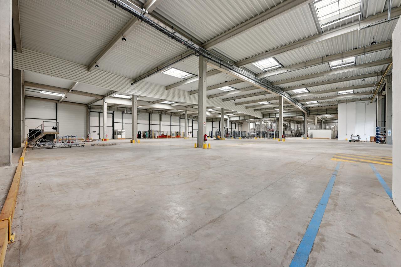 Local d'activité Sucy-en-Brie 6088m² Location local d'activité Sucy-en-Brie Val-de-Marne OLACT2533681 12